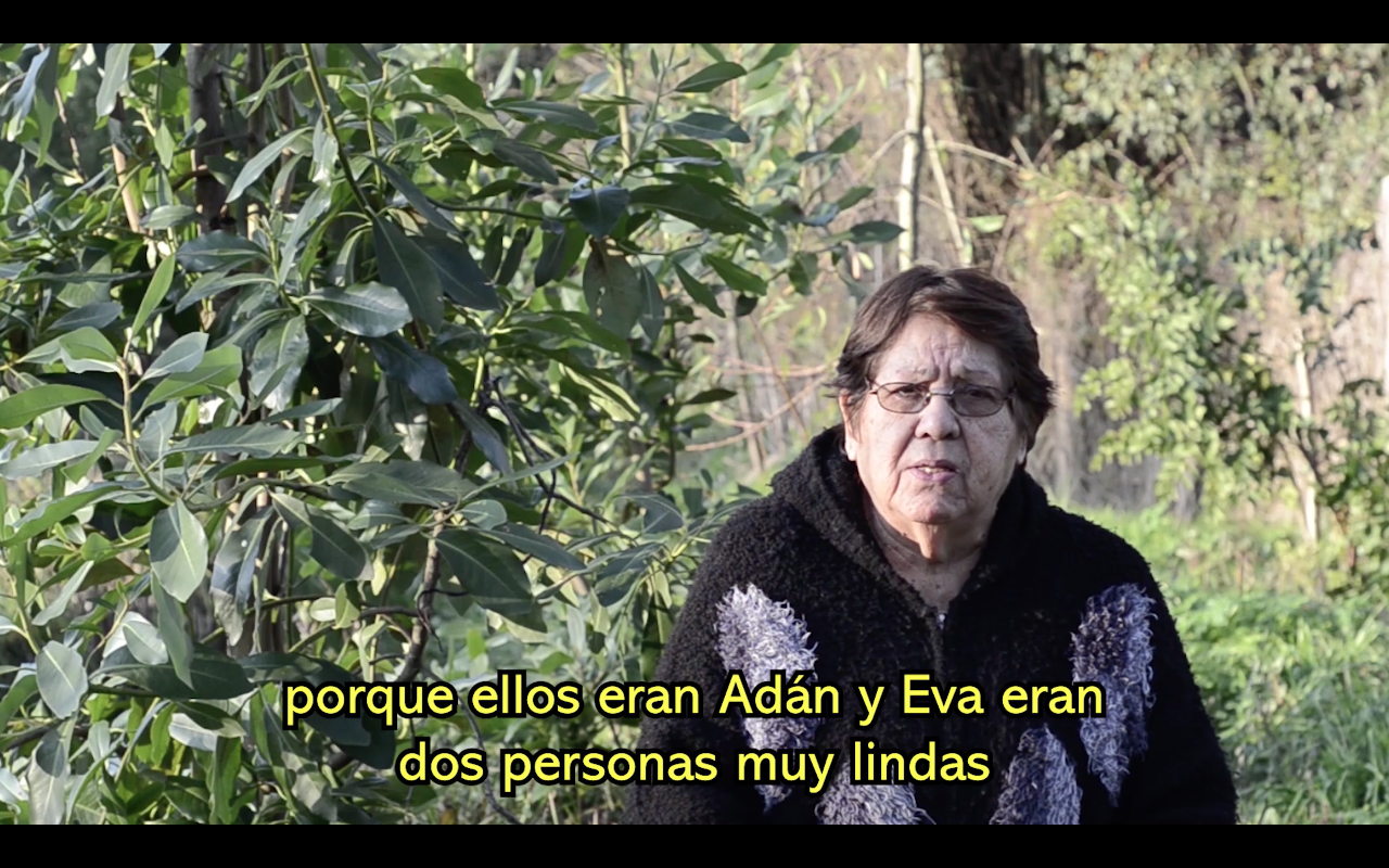 Captura de pantalla 2019-12-16 a la(s) 20.23.55.png